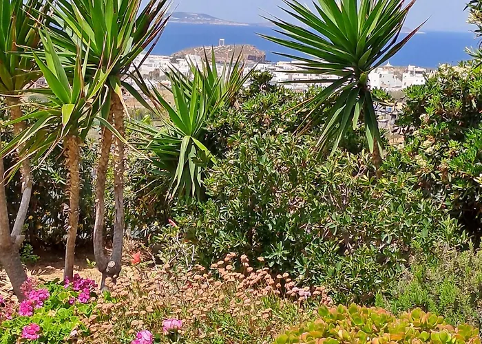 Naxian Sofias Garden