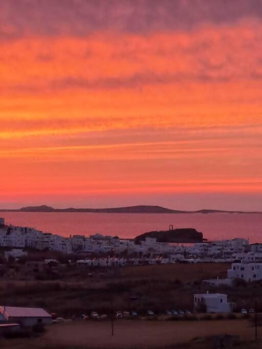 Naxian Sofias Garden Naxos City