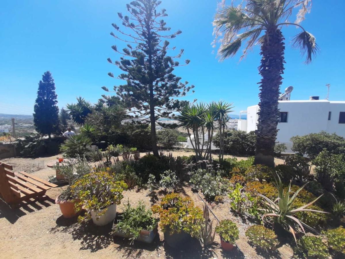 Naxian Sofias Garden Apartment Naxos City