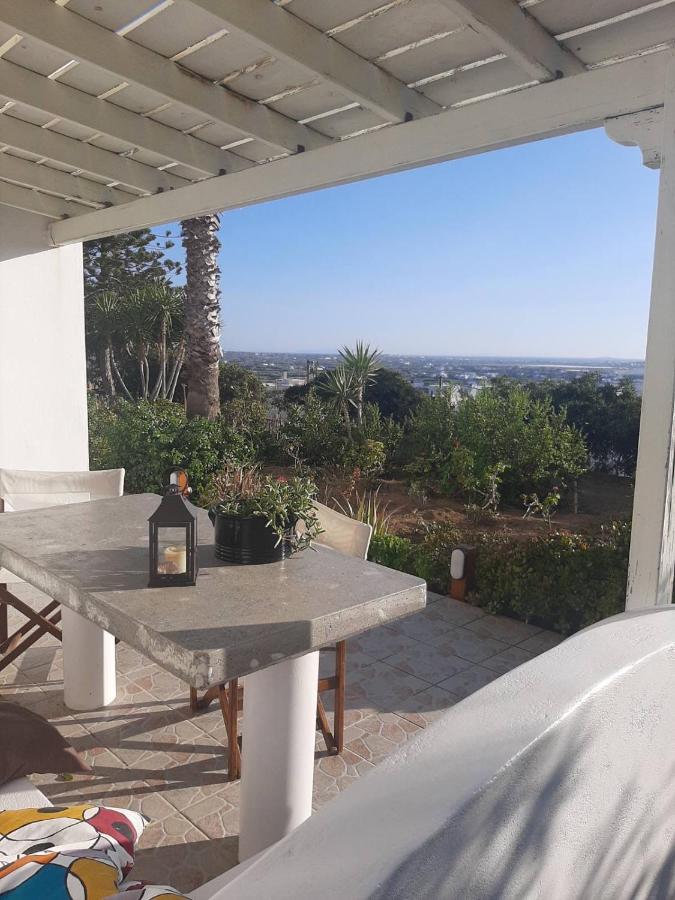 Naxian Sofias Garden Apartment Naxos City