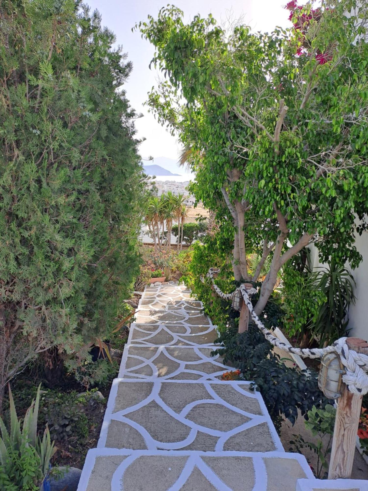 Naxian Sofias Garden Apartment *