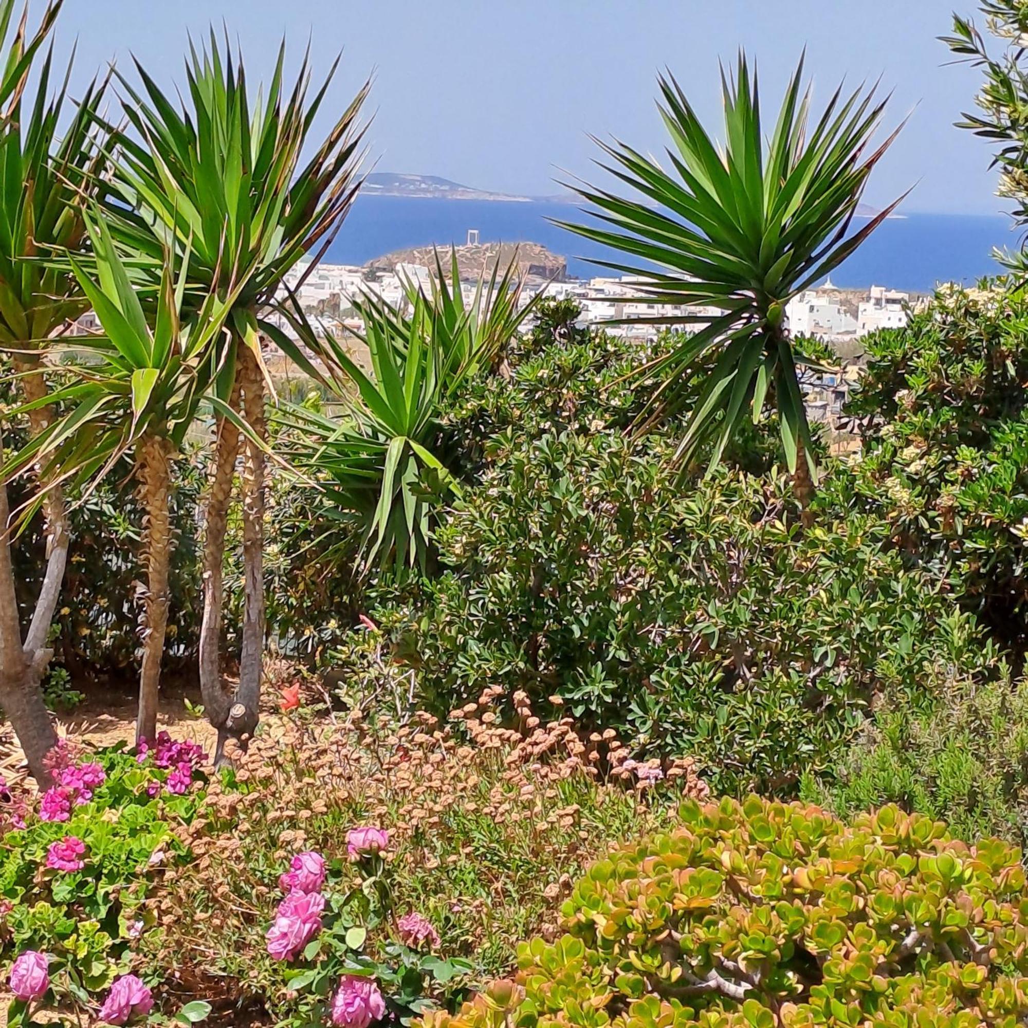 Naxian Sofias Garden Apartment Naxos City